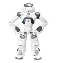 NAO Power V6 Standard Edition for Research