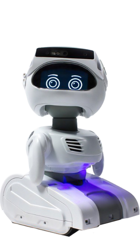 Misty Robot for Research Standard Edition