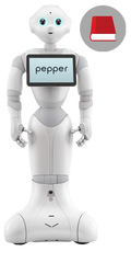 Pepper Robot for Libraries