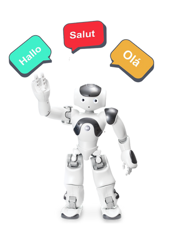 NAO Robot Additional Language